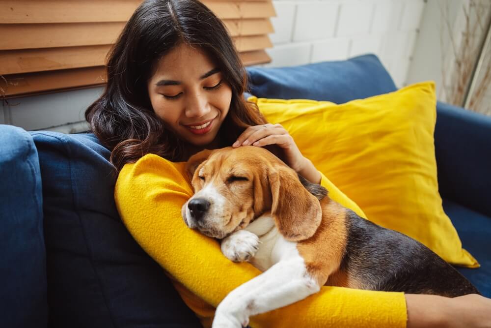 犬　人
