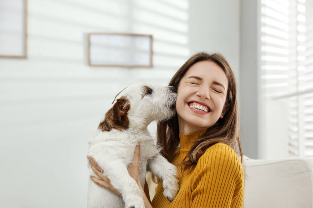 犬　女性