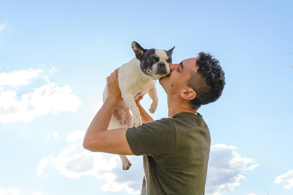 犬と飼い主のイメージ画像