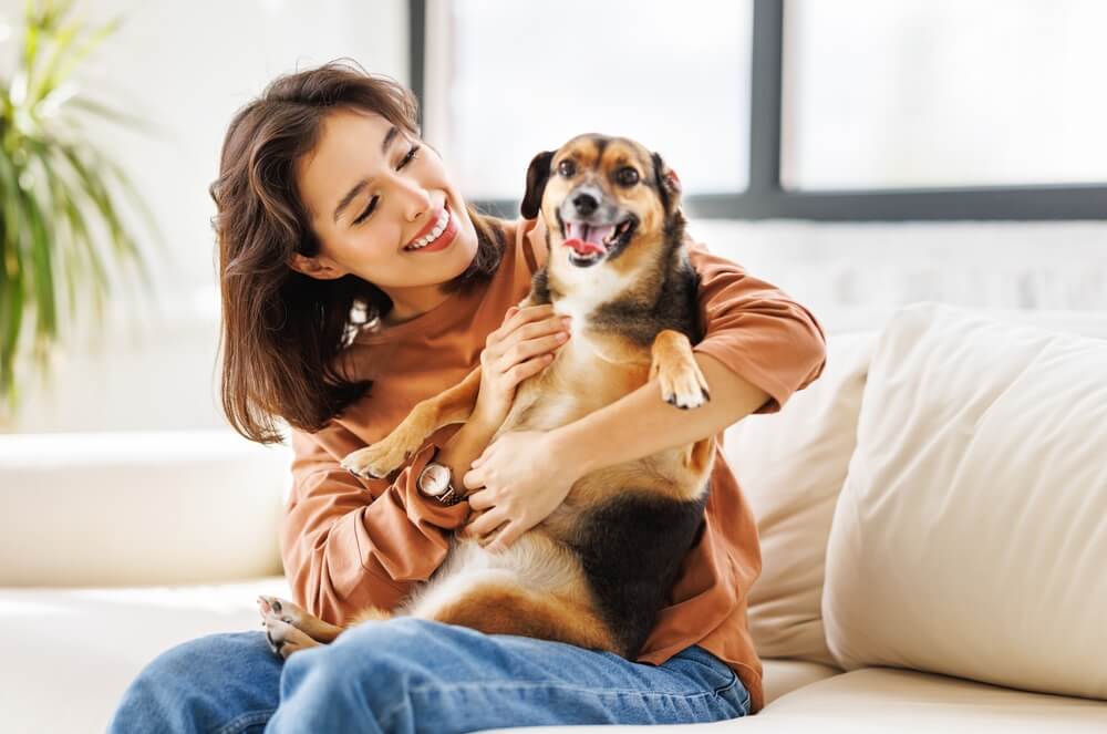 犬と人