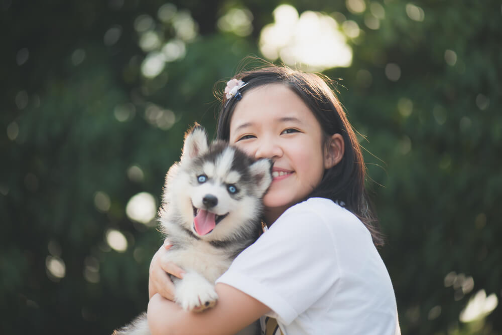 子ども　犬